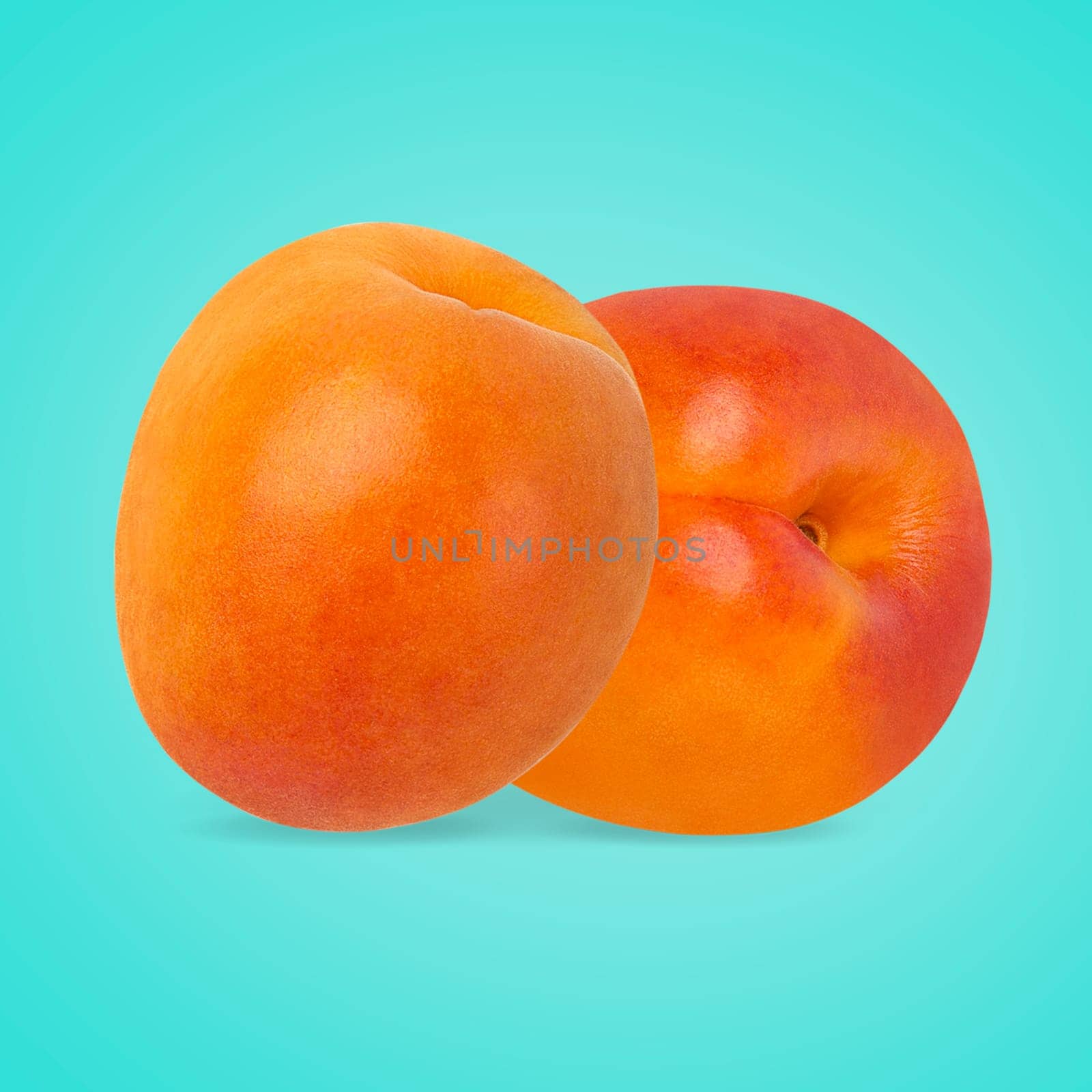 Minimal fruit concept. Two whole apricot fruits on bright blue background with shadow. Design element. Full depth of field.