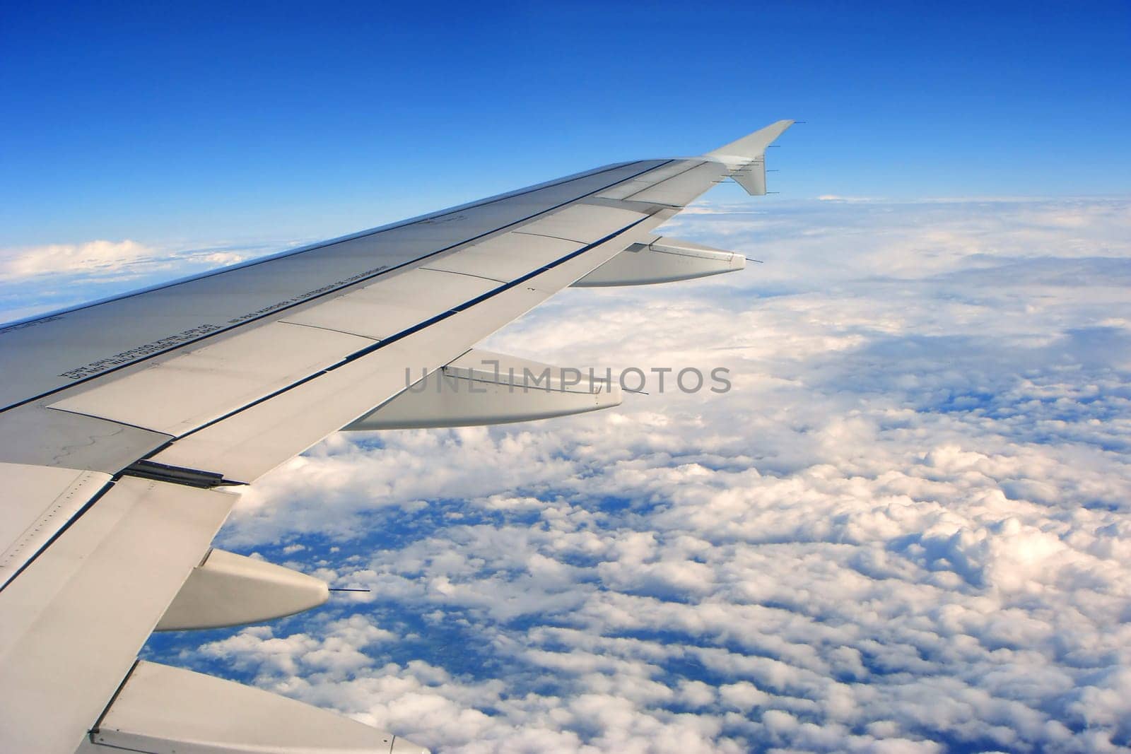 Above the clouds