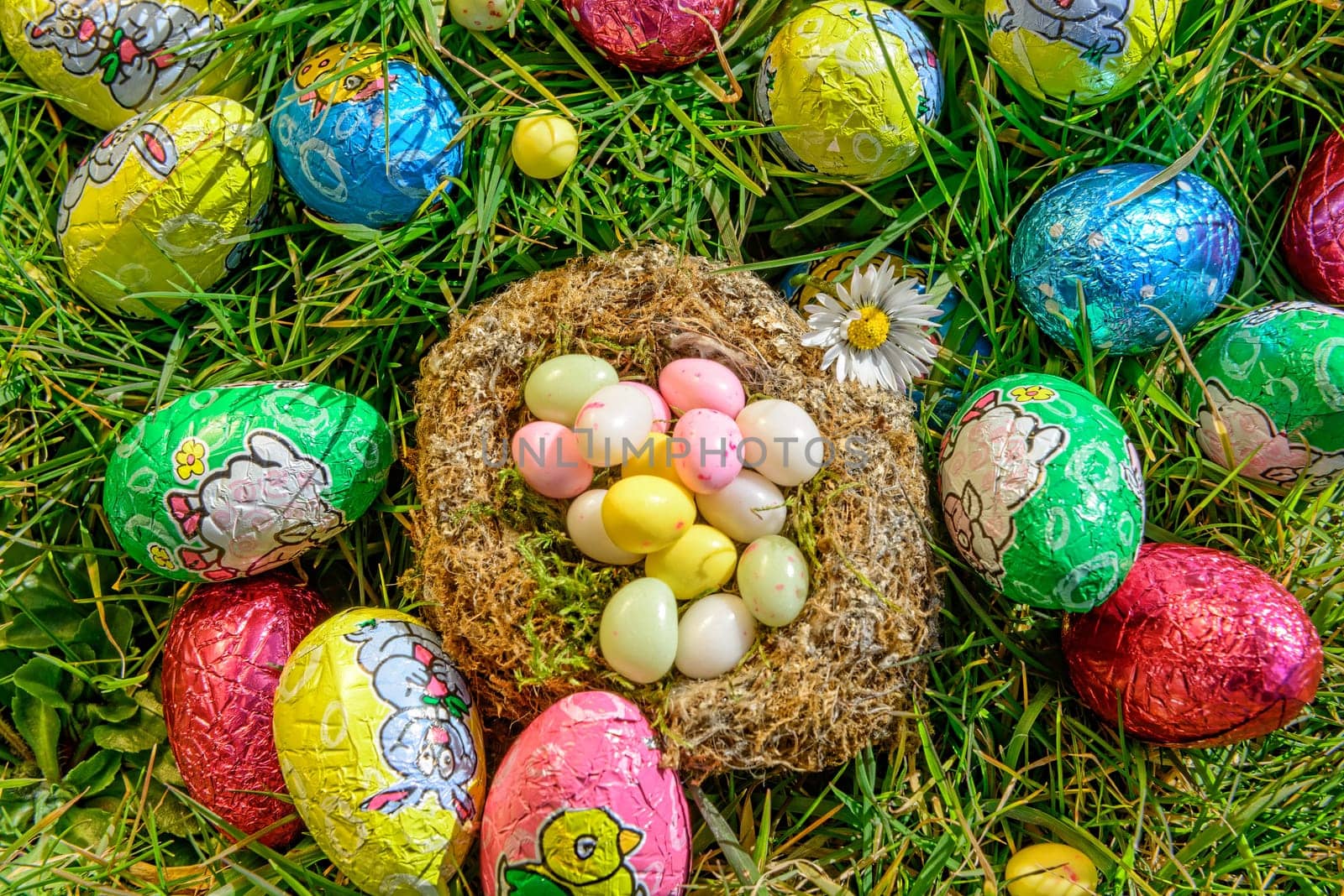 Easter eggs in a nest in the garden