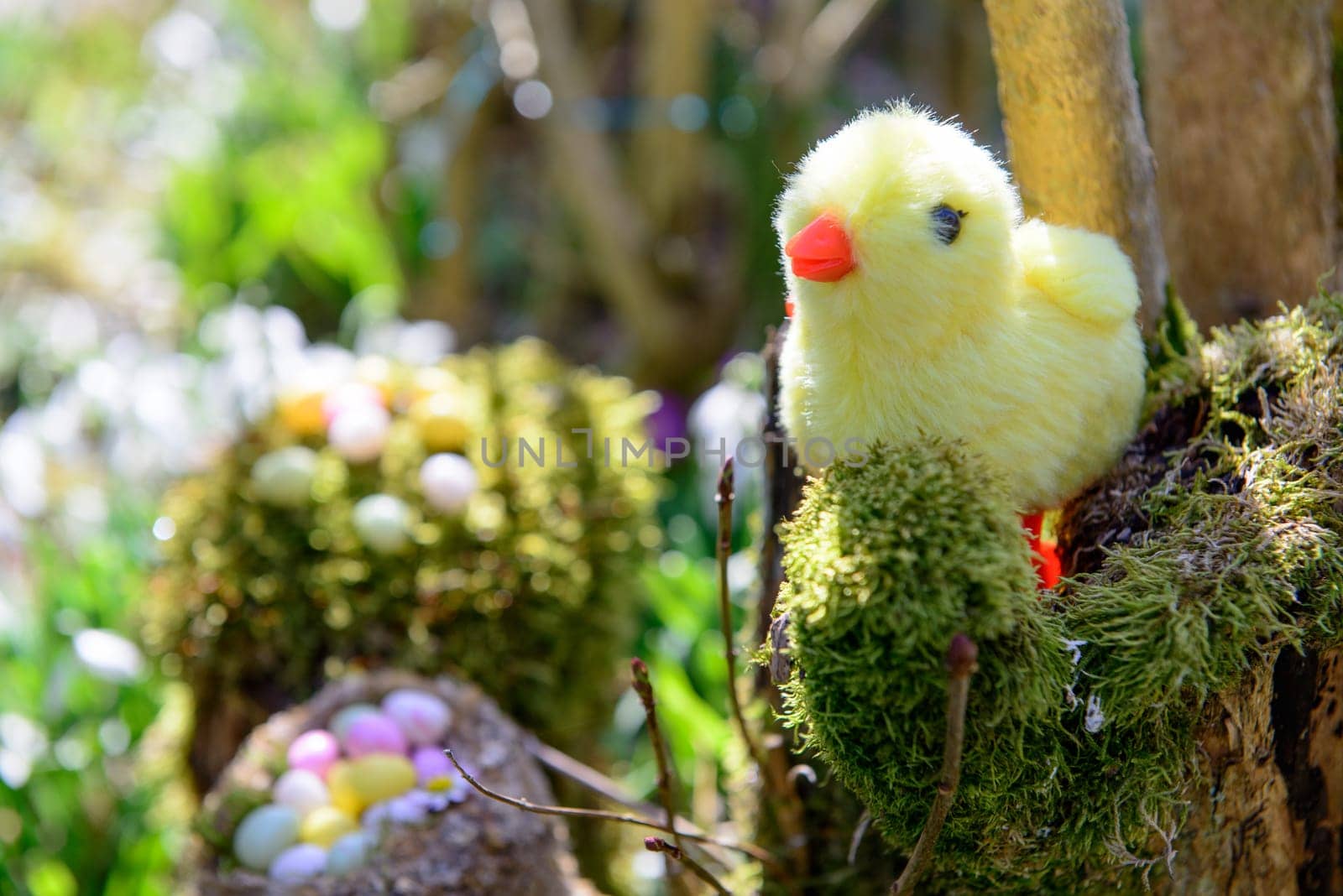 chicken stuffed with Easter eggs in the garden