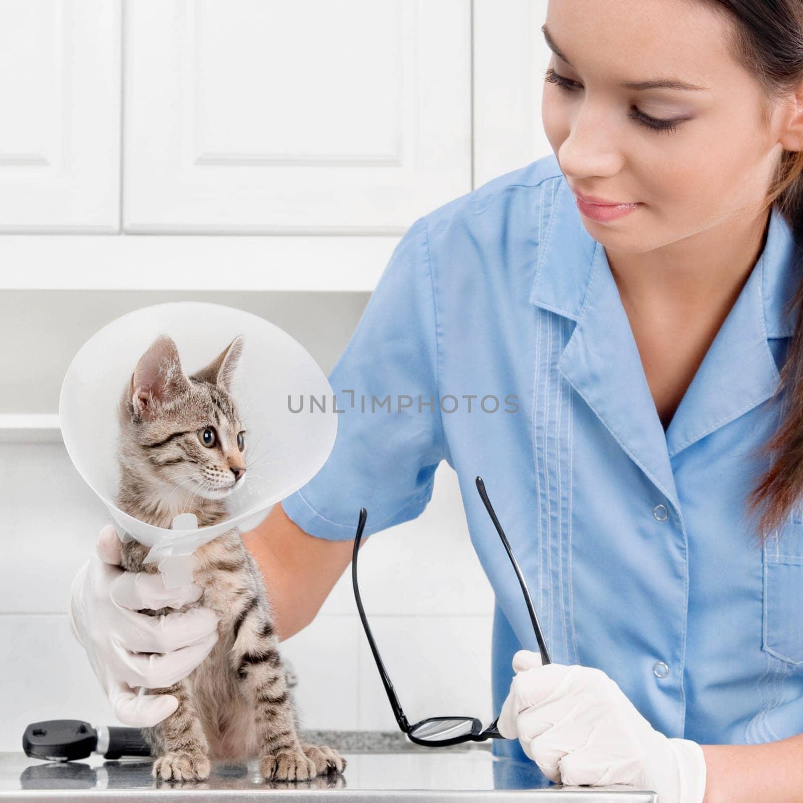 Female vet examining a cat