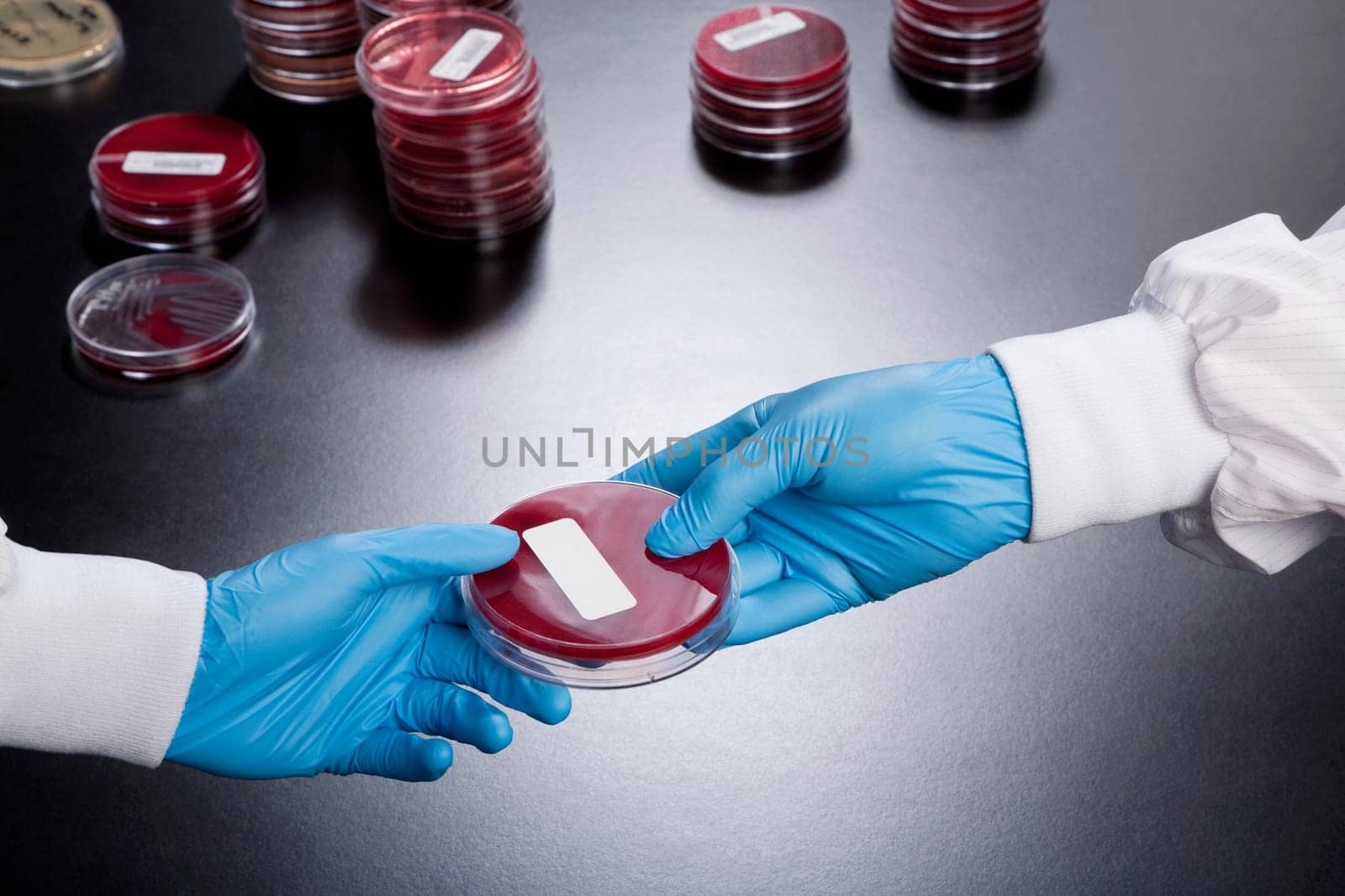 Petri dish in two doctorsŽ hands