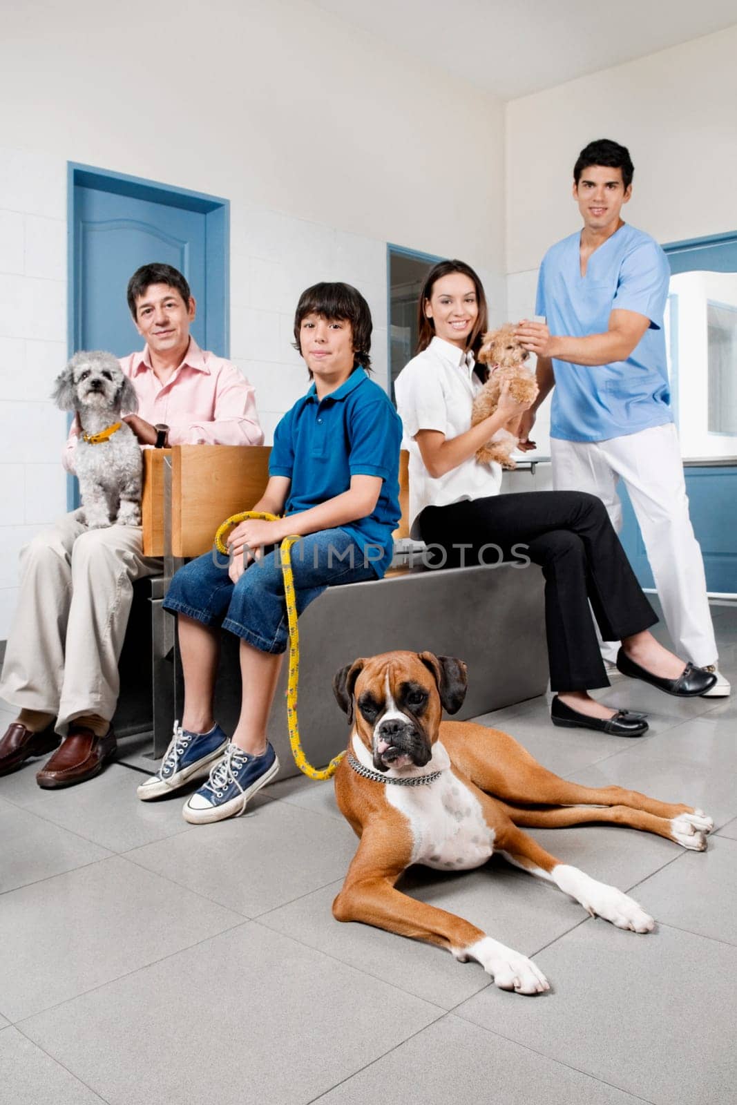 Pets with their owners in a veterinary hospital