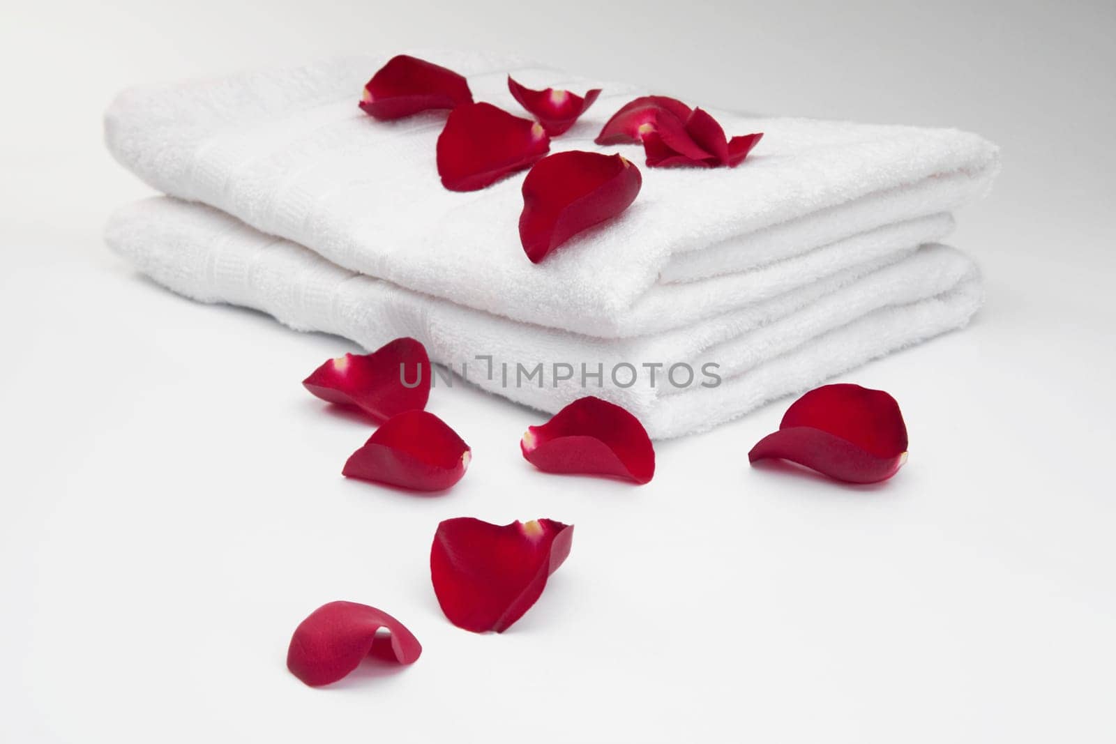 Rose petals on towels