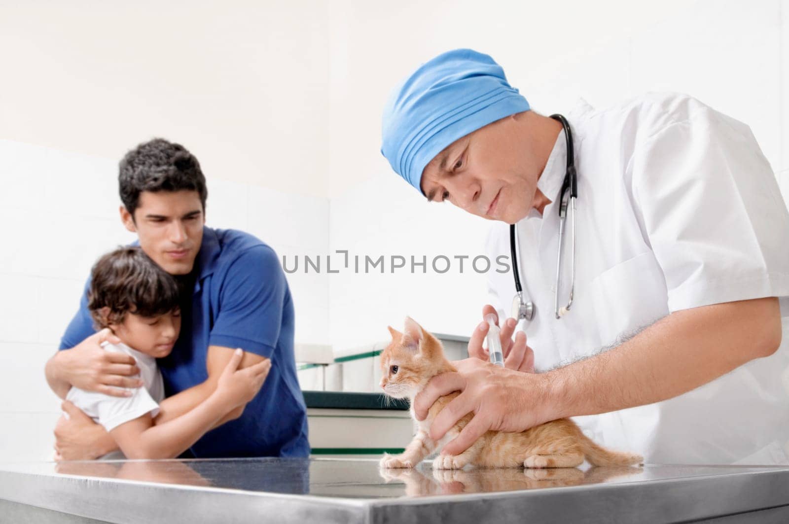 Vet injecting a cat