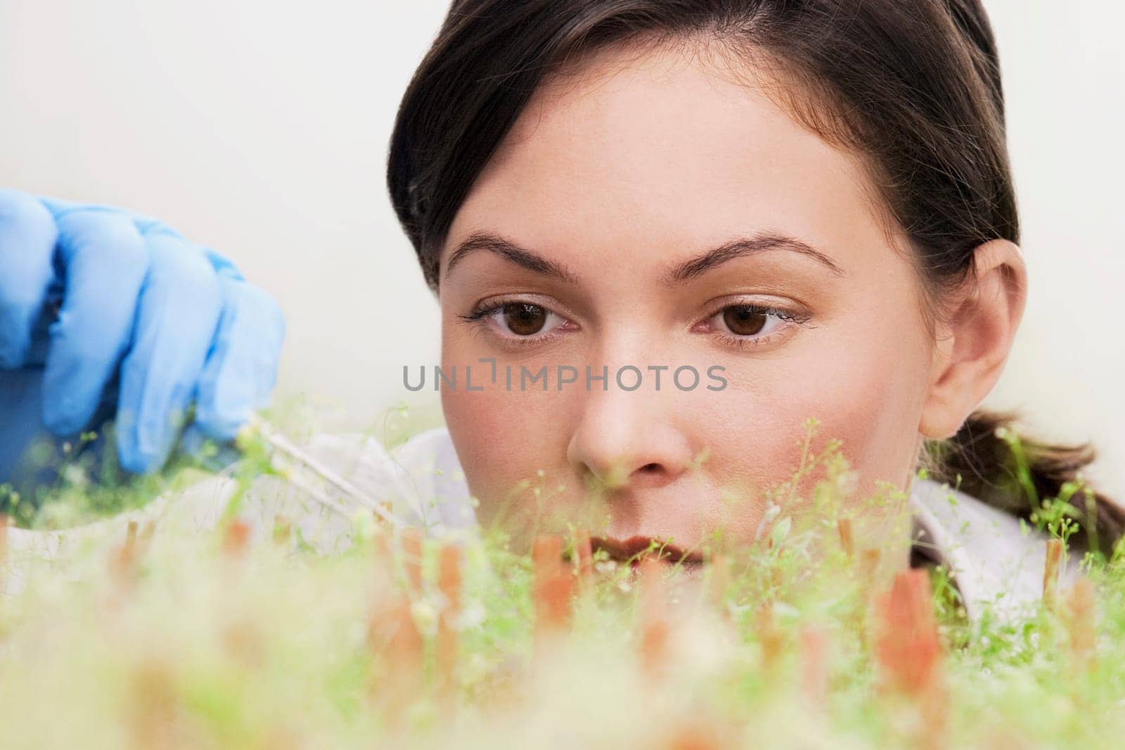 Female scientist researching on plants in a laboratory