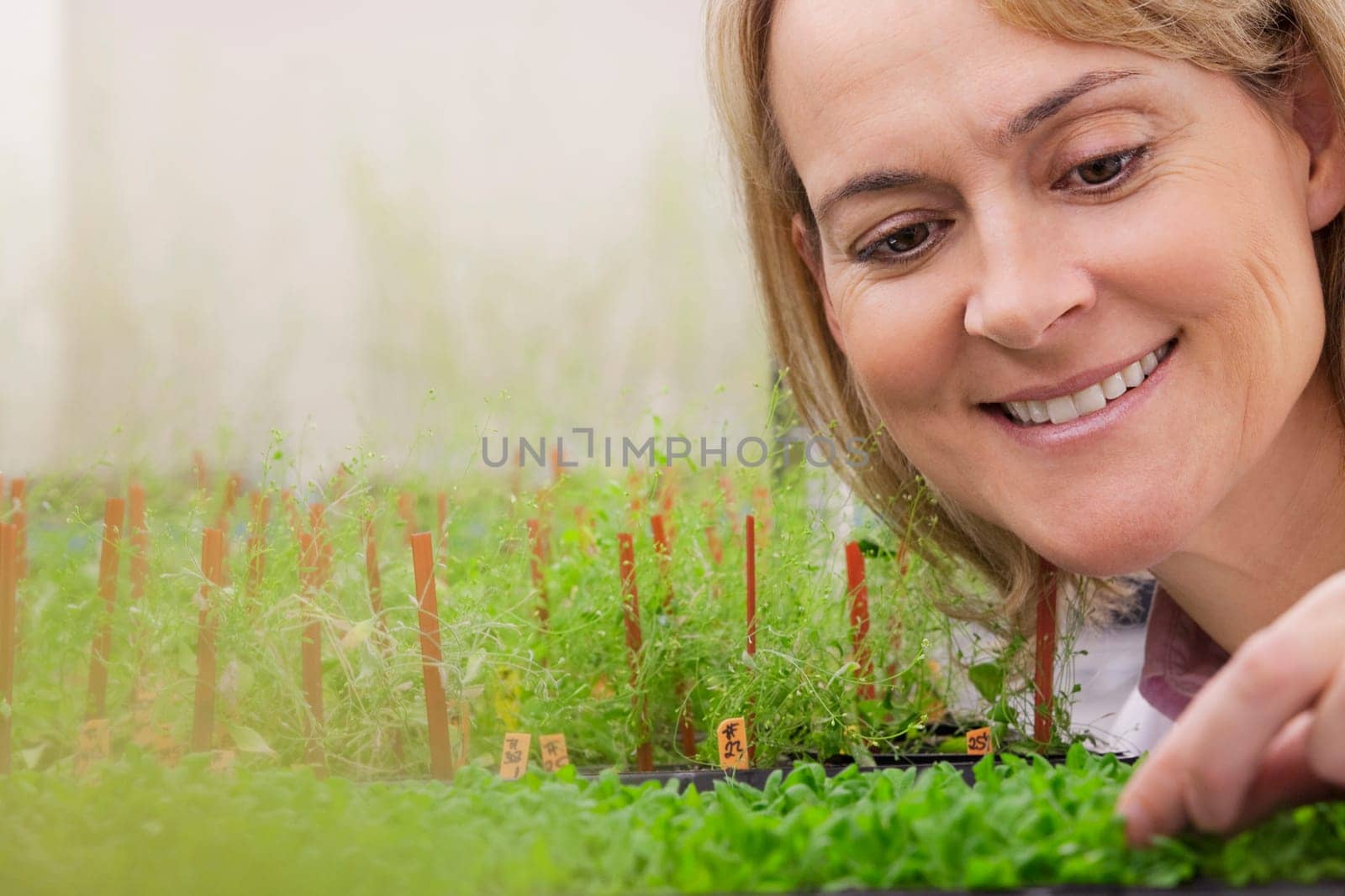 Female scientist researching on plants in a laboratory