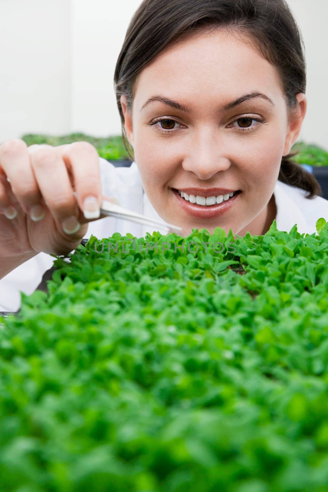 Female scientist researching on plants in a laboratory
