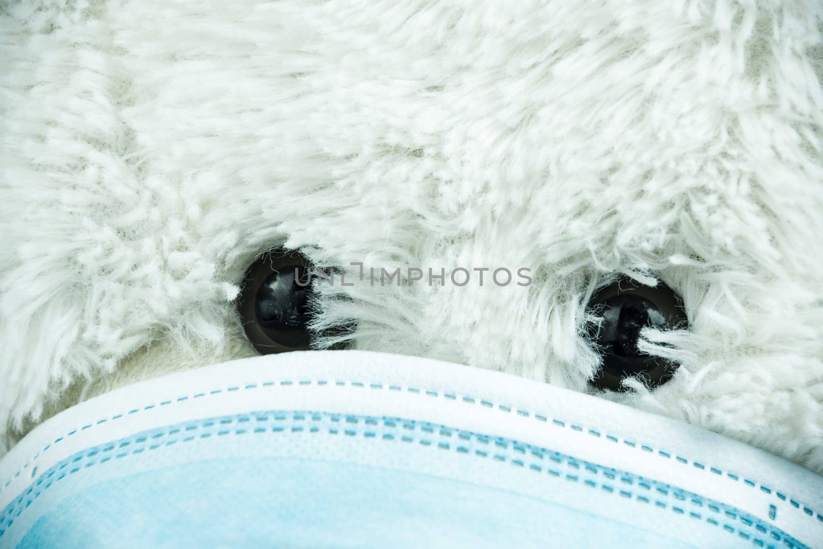 Masked teddy bear with surgical mask on white background