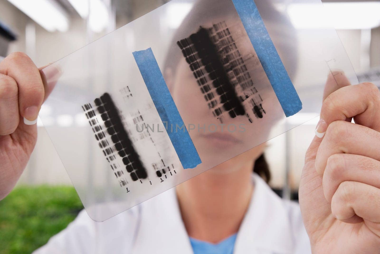 Female scientist examining a report in a laboratory