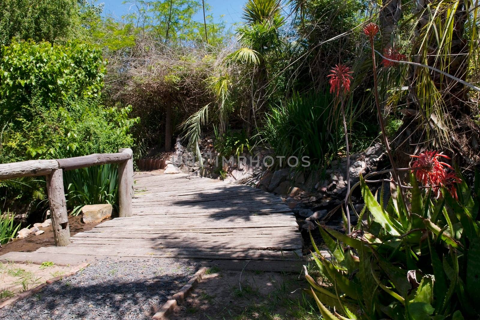 Walkway in a park
