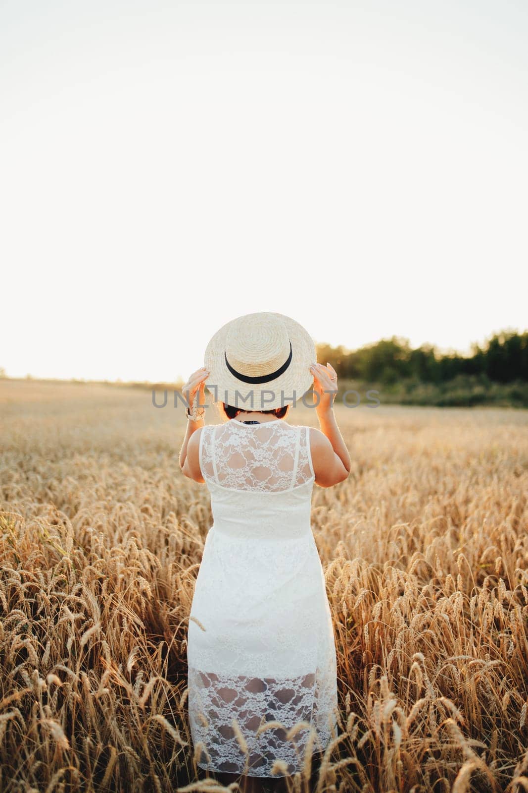 Girl in wheat field, girl's hand and wheat spikelet, sunset on field. High quality photo