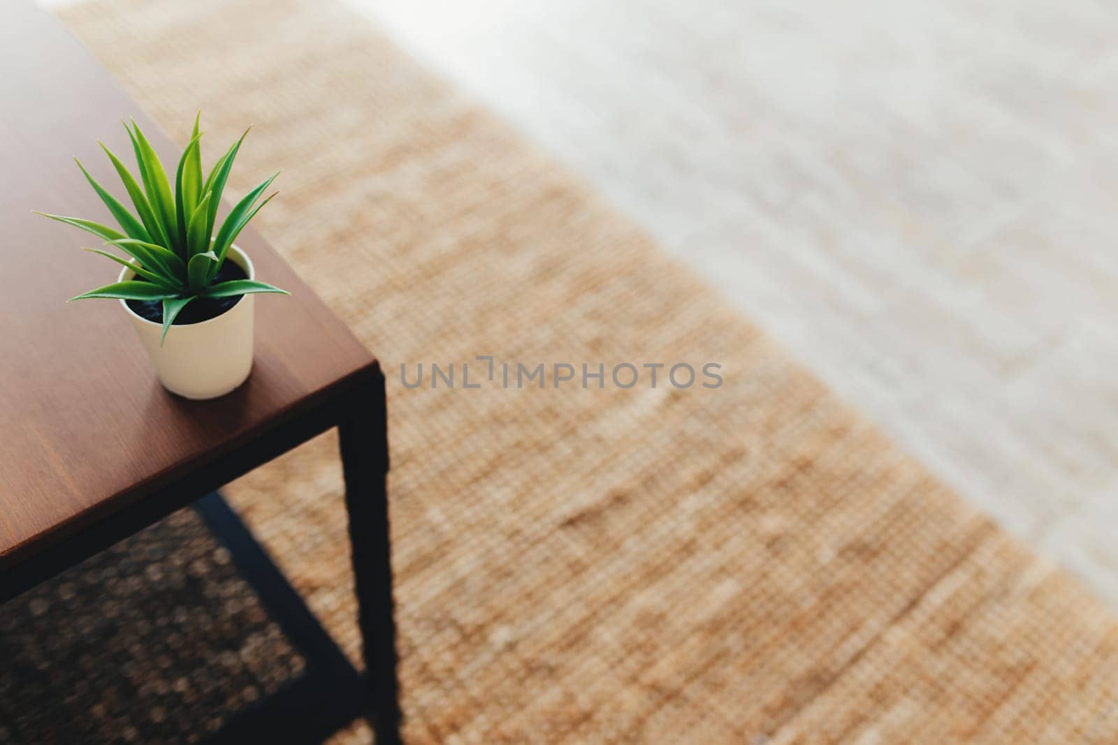 Cactus on the coffee table in interior. Terracotta carpet. Blurred background. High quality photo