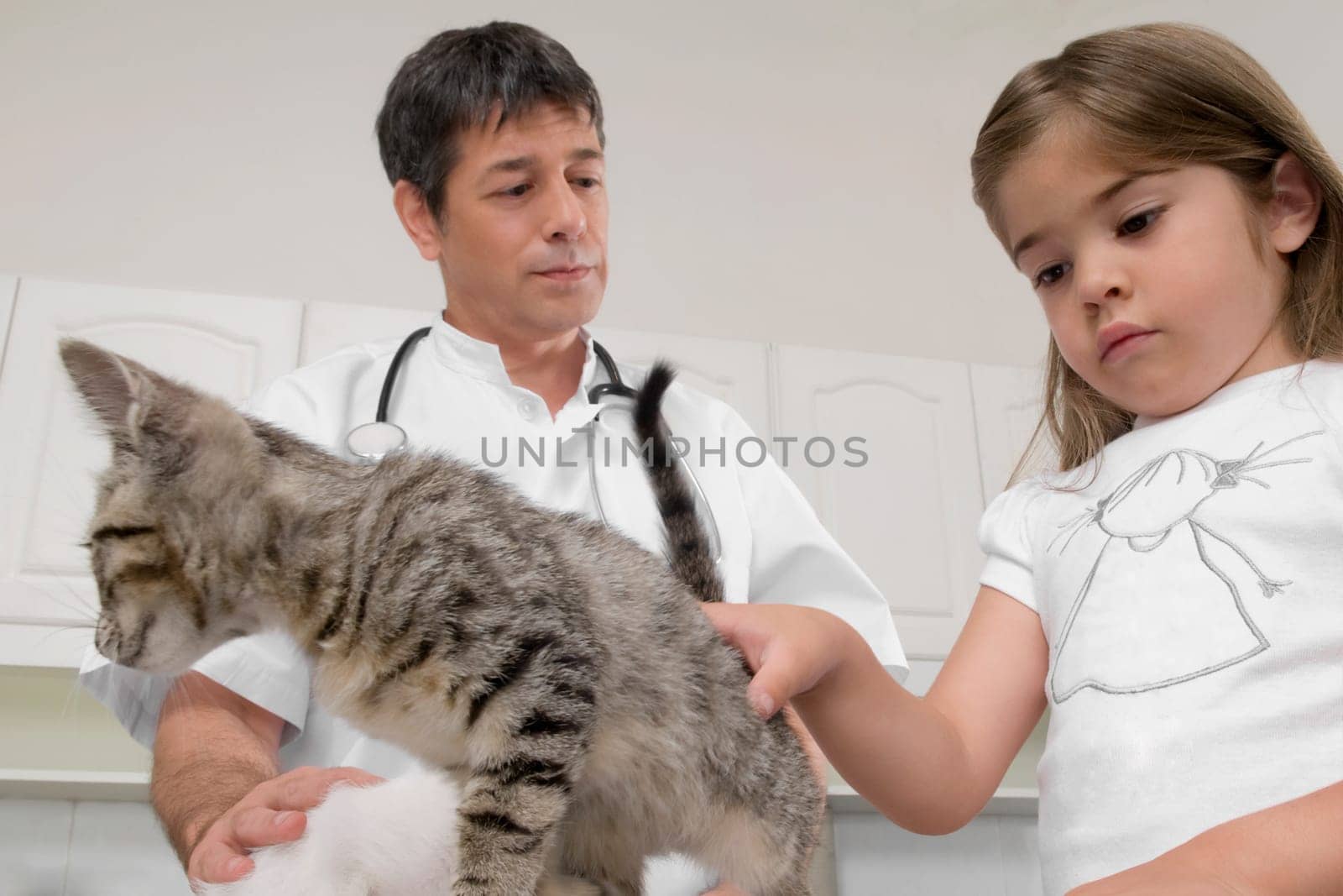 Vet examining cats with a girl looking serious beside him