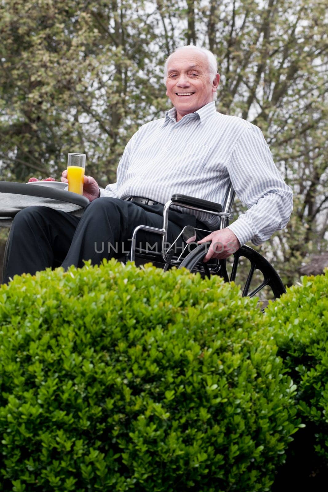 Portrait of a man sitting in a wheelchair and holding a glass of juice