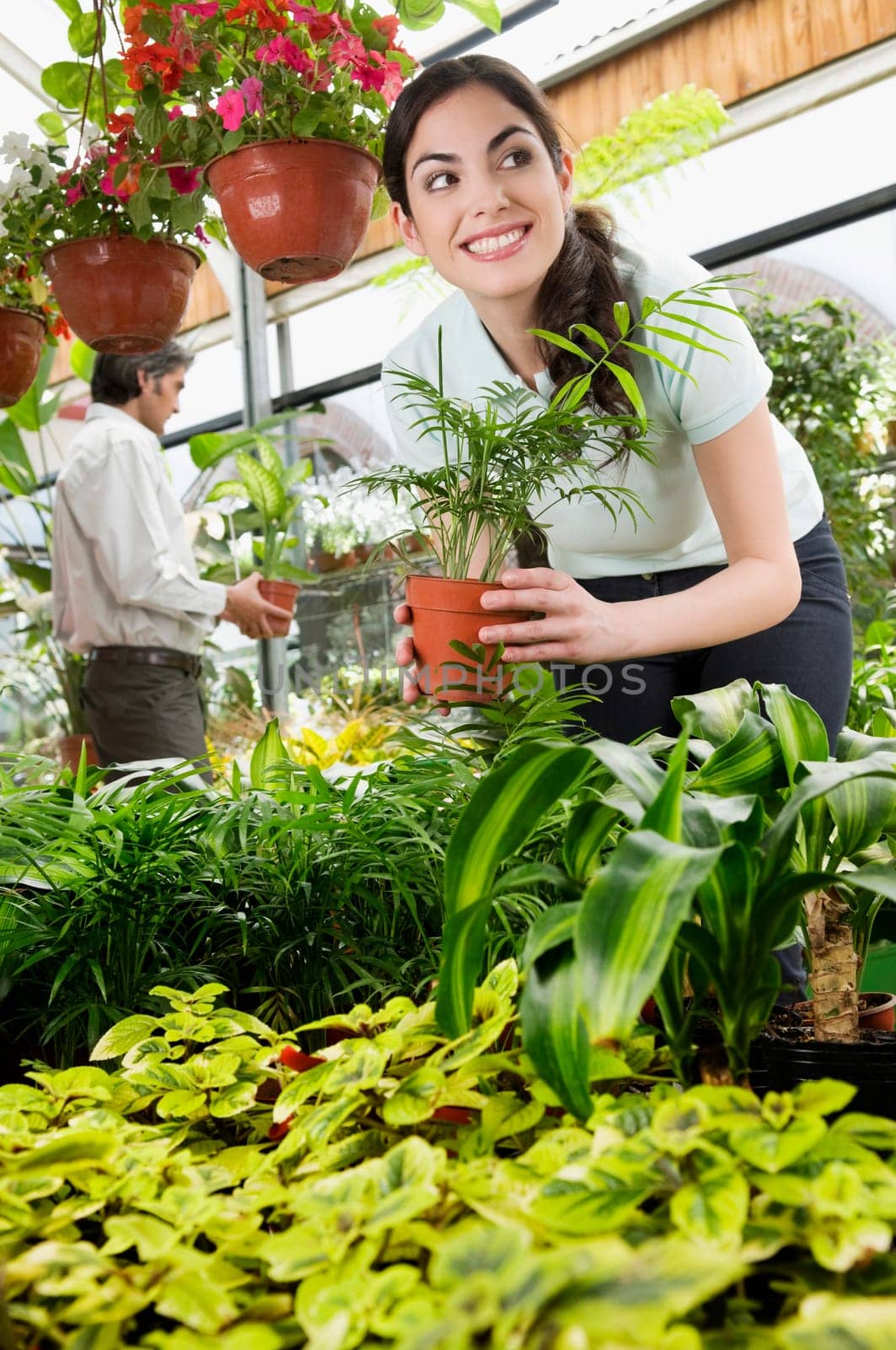 Customers choosing plants in a greenhouse