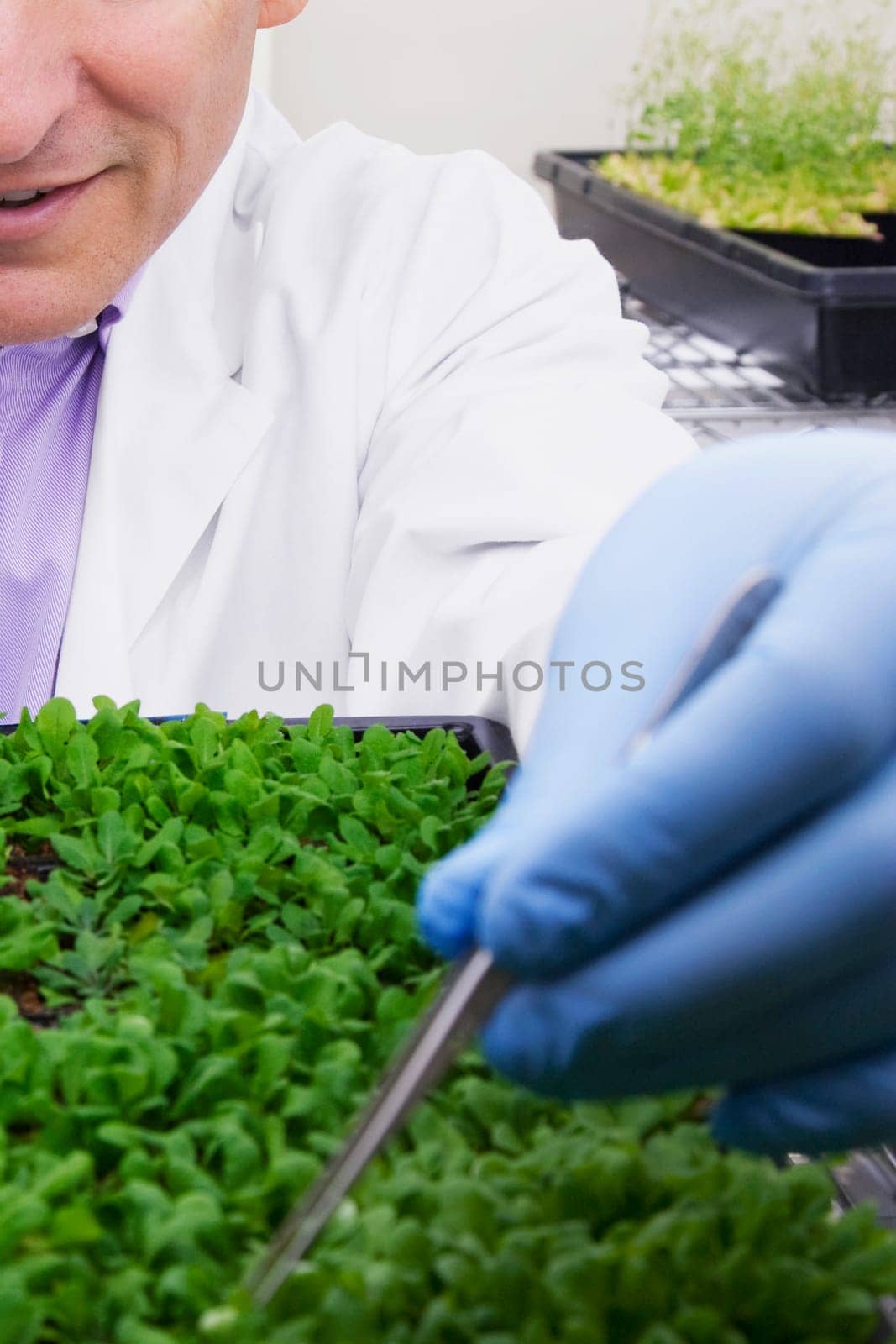 Scientist researching on plants in a laboratory