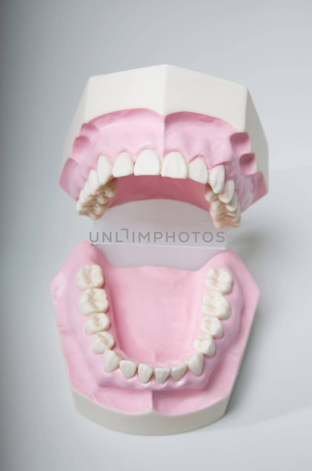 Close_up of a set of dentures