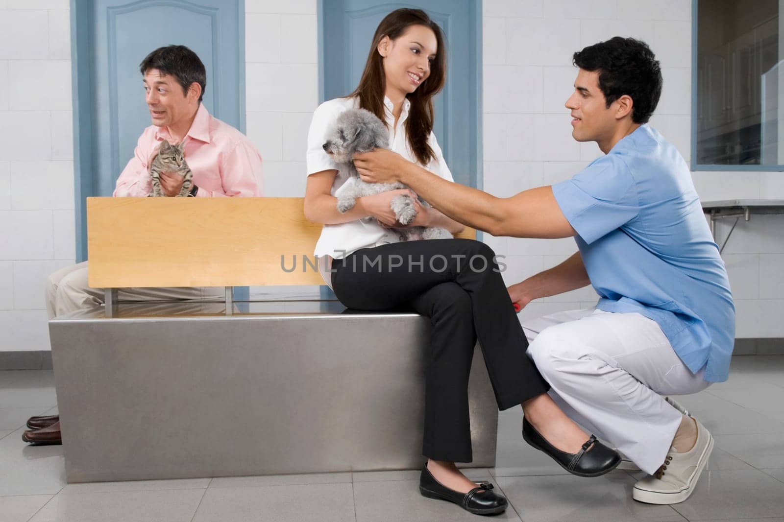 Pets with their owners in a veterinary hospital