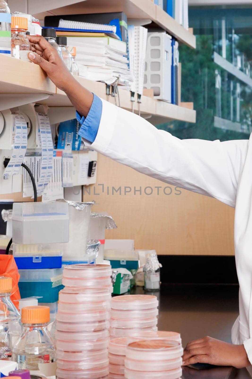 Female doctor working in a laboratory