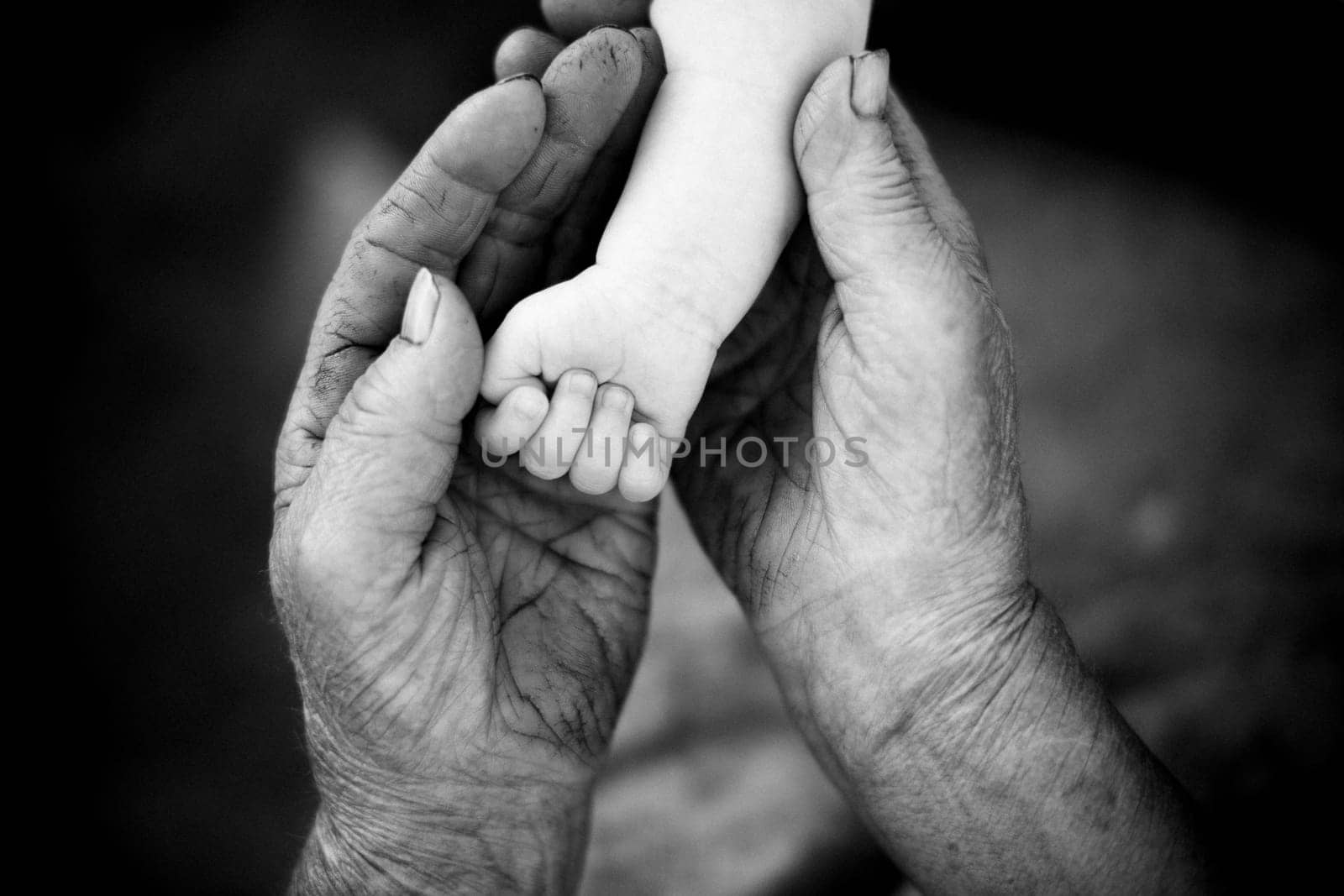 youth and old age. Hands of grandmother and granddaughter. High quality photo