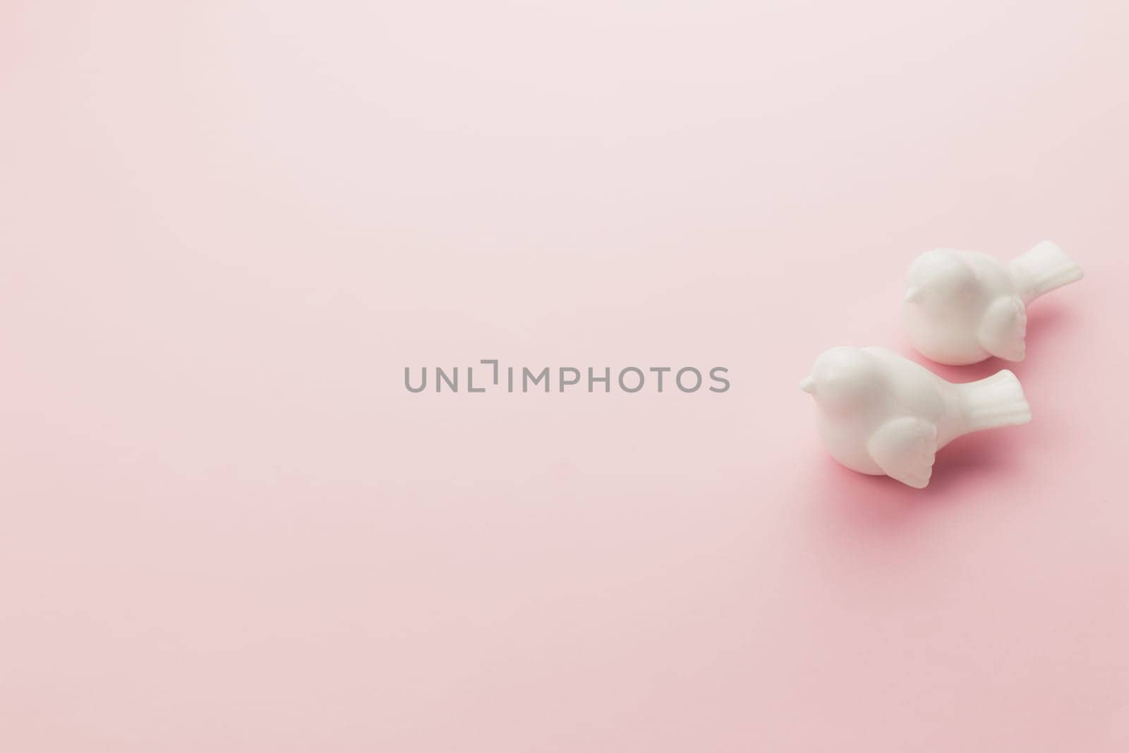 Valentine on the pink background. Two white birds. High quality photo