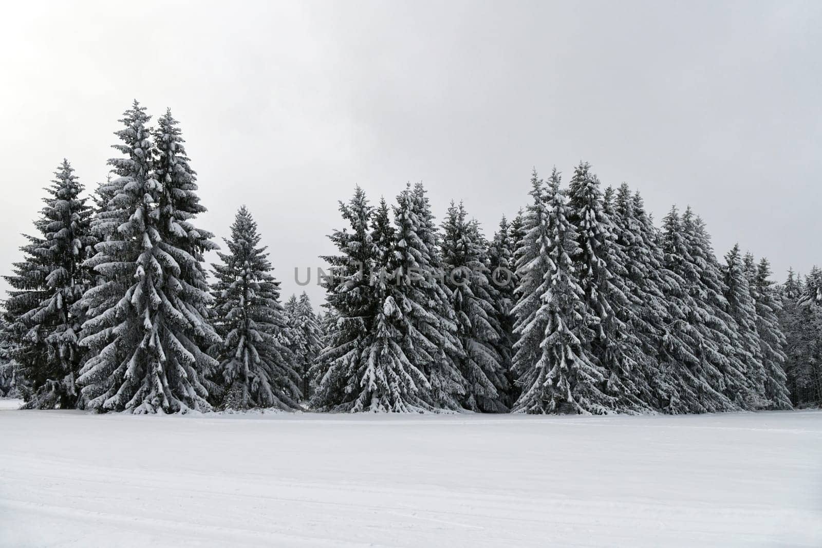 winter weather