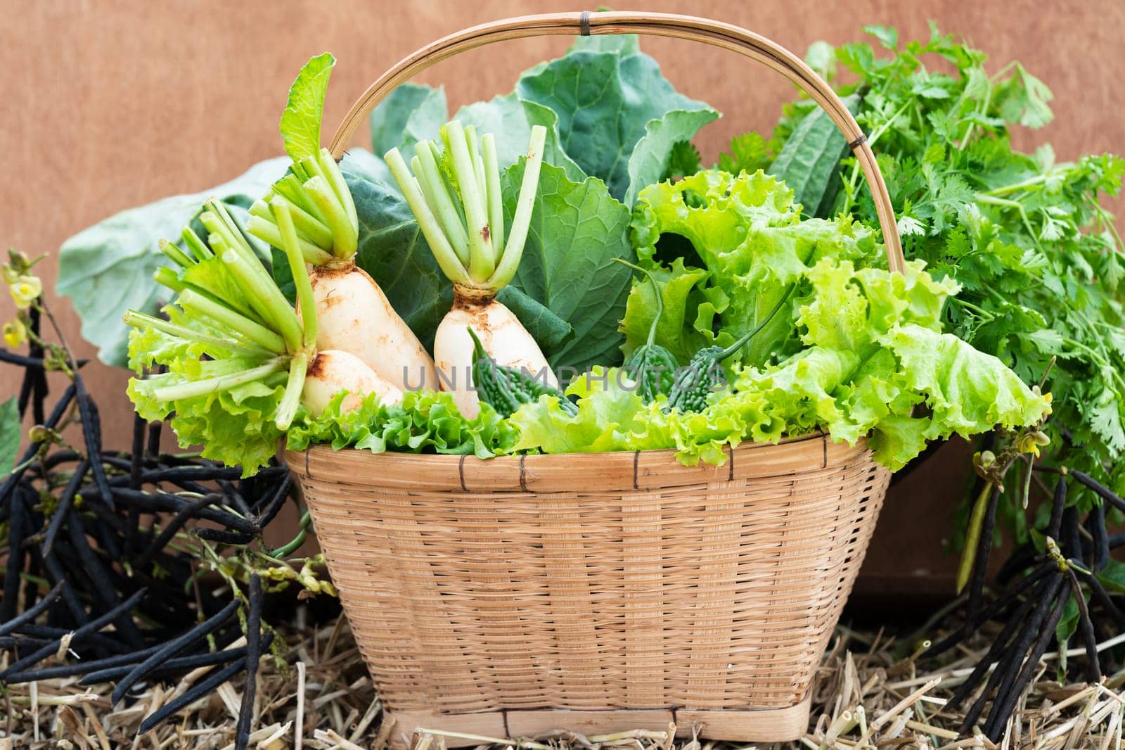 Mixed organic vegetable harvest in woven basket
