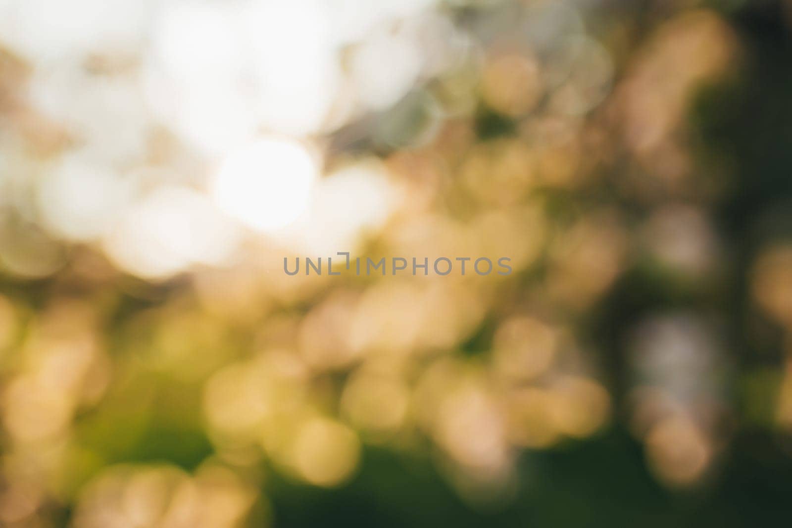 The lights of the sun, bokeh, blurred sunset lights. High quality photo