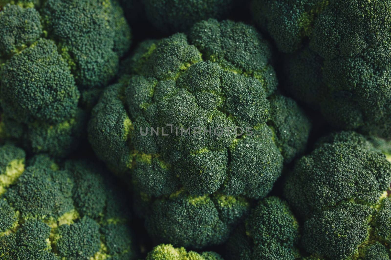 Fresh green broccoli, drops of water on broccoli. High quality photo