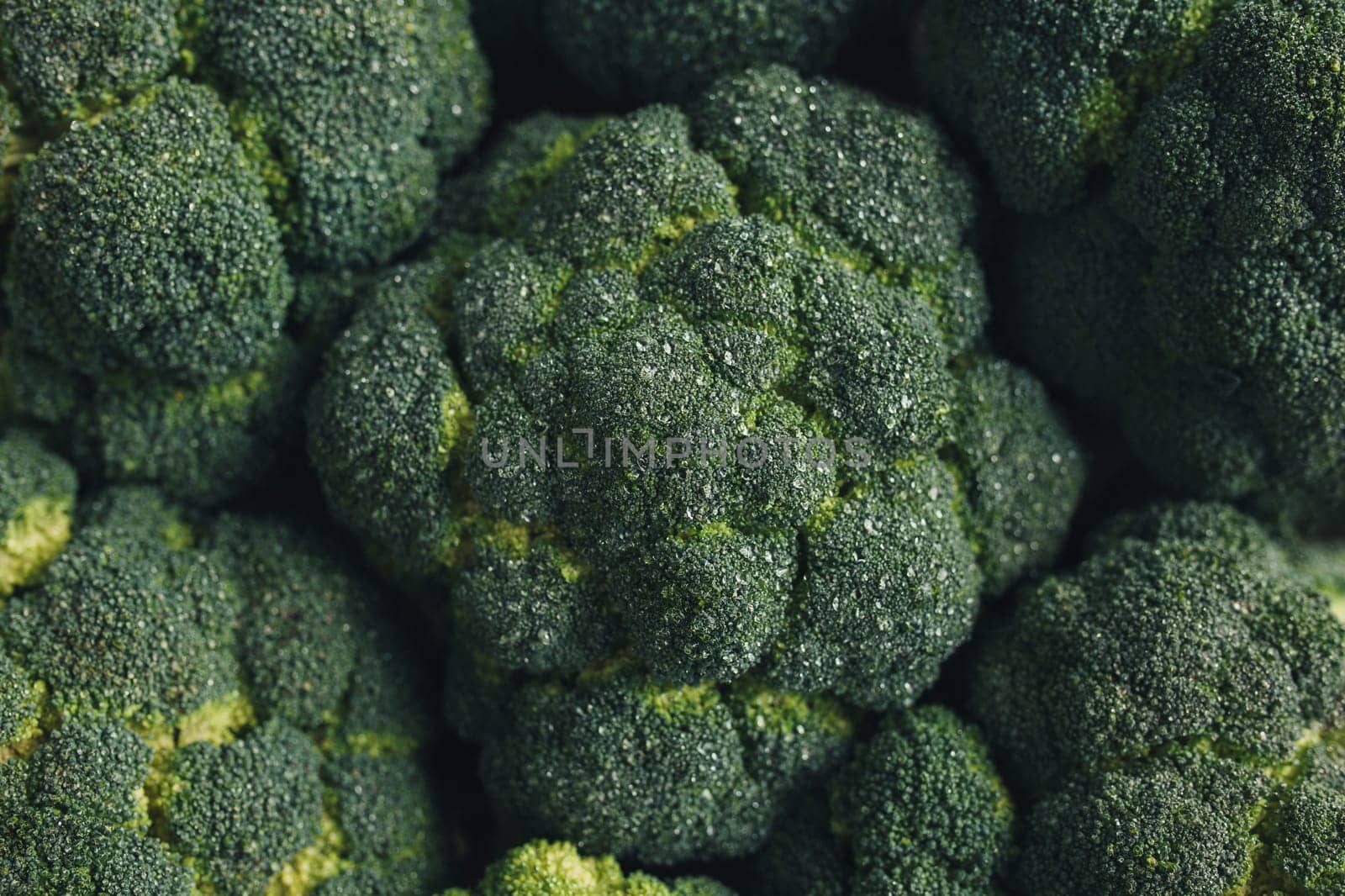 Fresh green broccoli, drops of water on broccoli. High quality photo