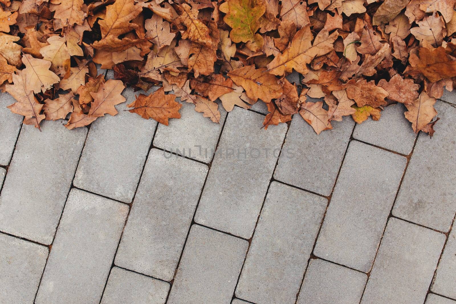 Autumn leaves on the gray pavement background. High quality photo