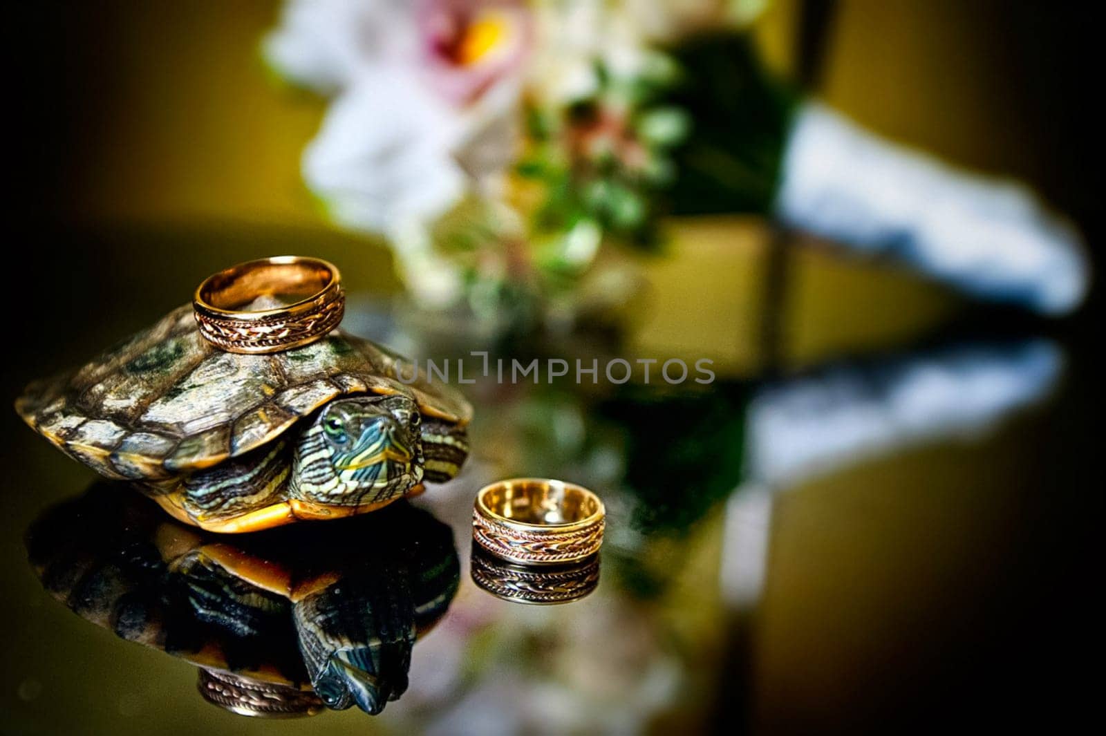Two wedding wedding rings lie next to the turtle.