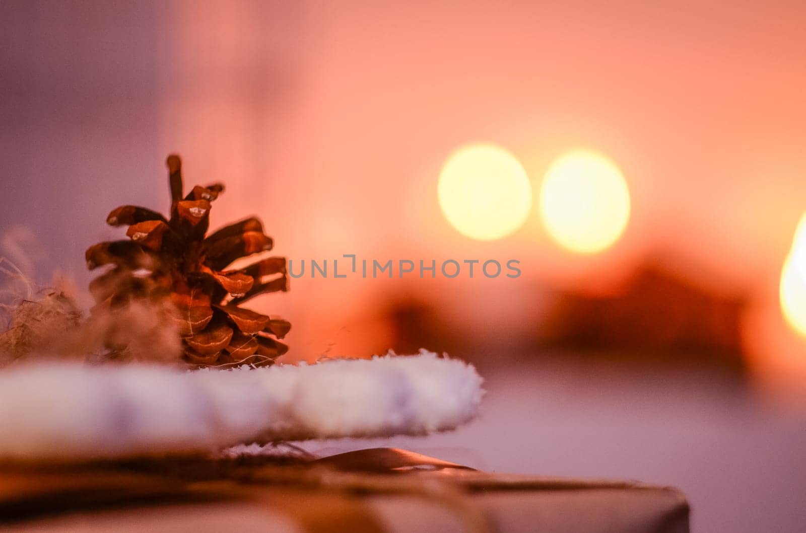 pine cone on the table. Coniferous conifers.