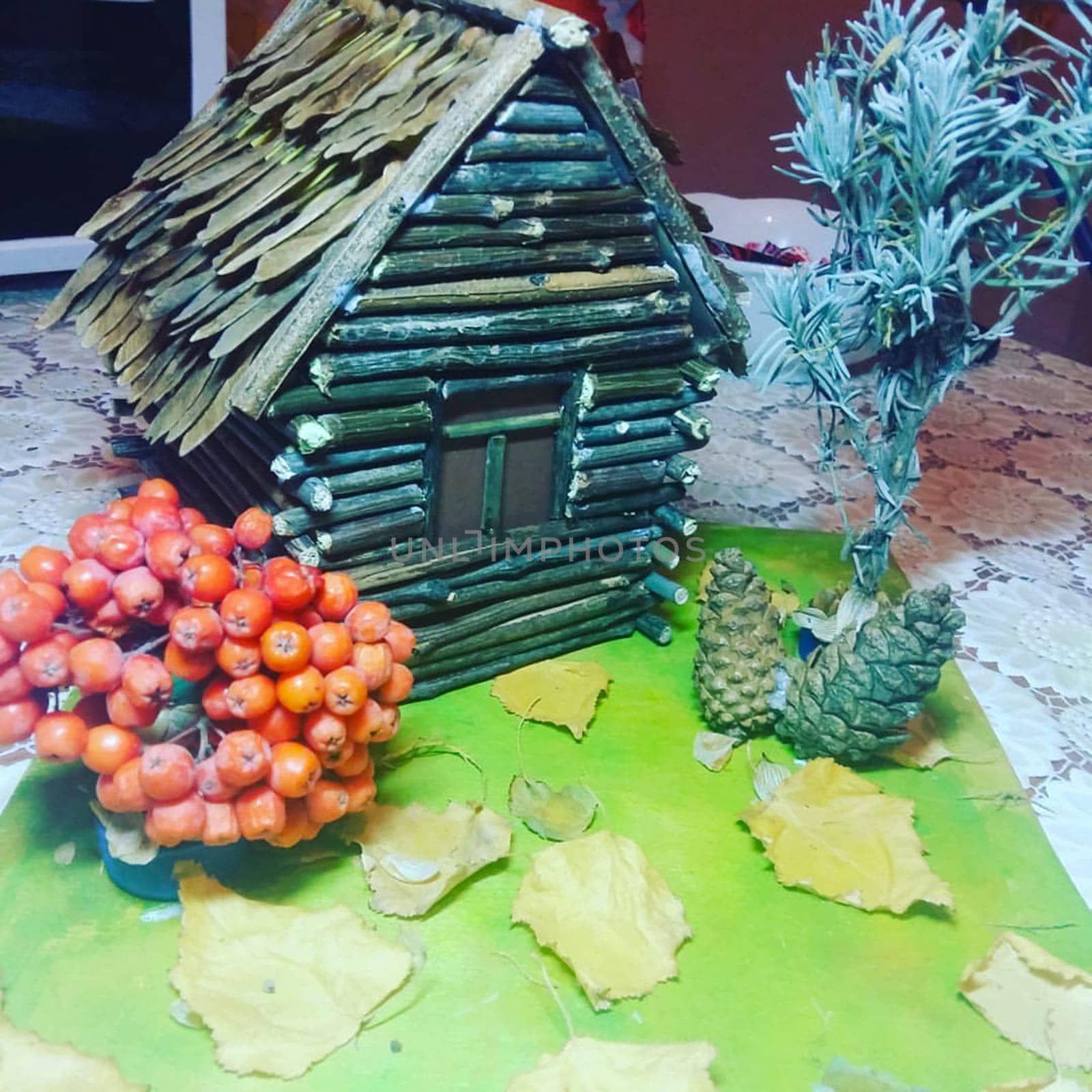 Toy divided house and yard, model of the house in the village.