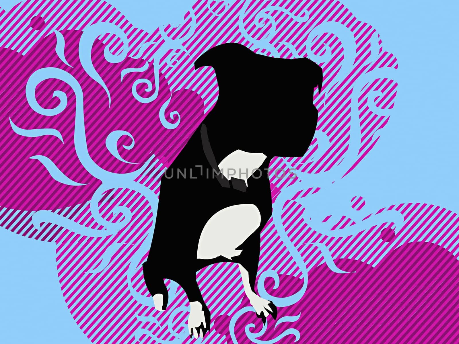 Bulldog sitting against a colored background