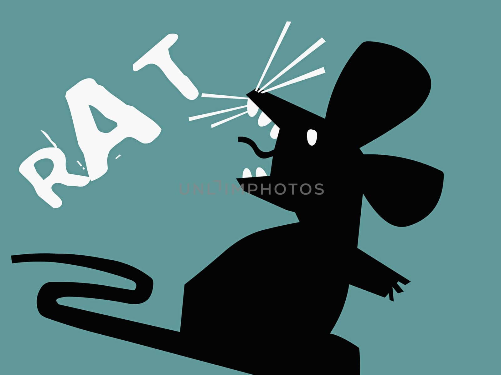 Close-up of a rat