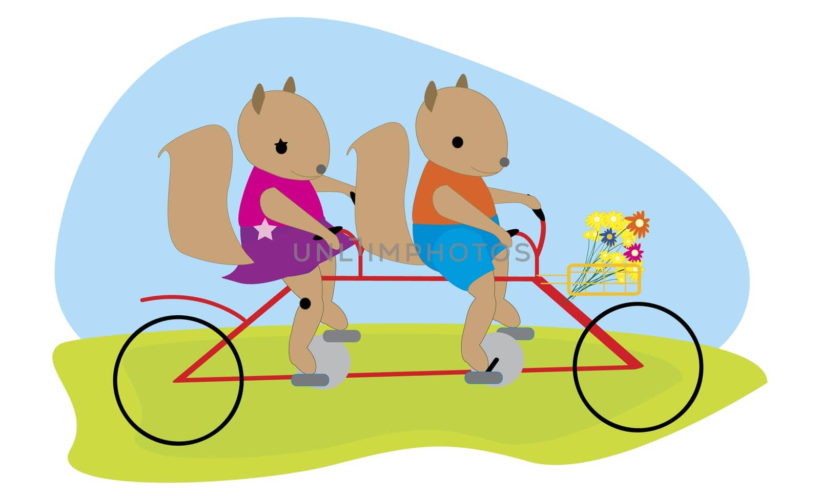 Male squirrel and female squirrel riding a bicycle