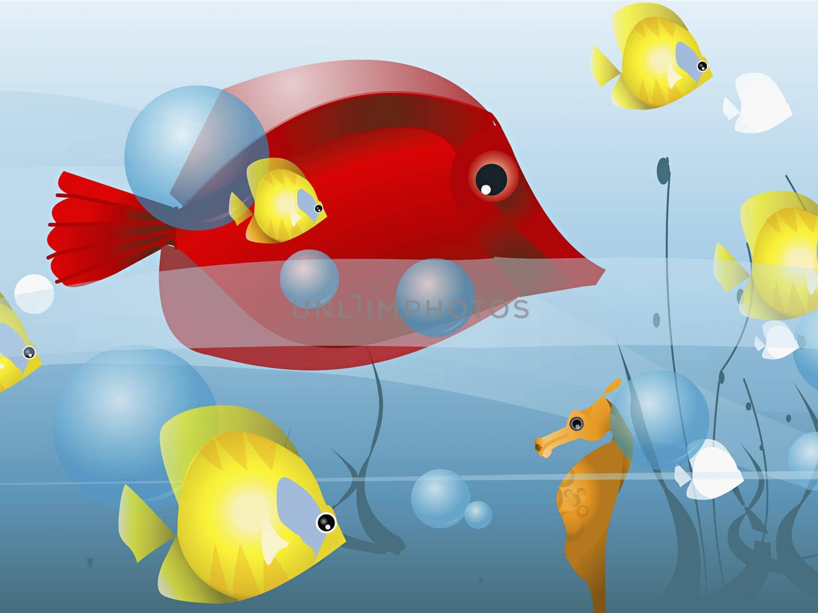Fish with a sea horse underwater