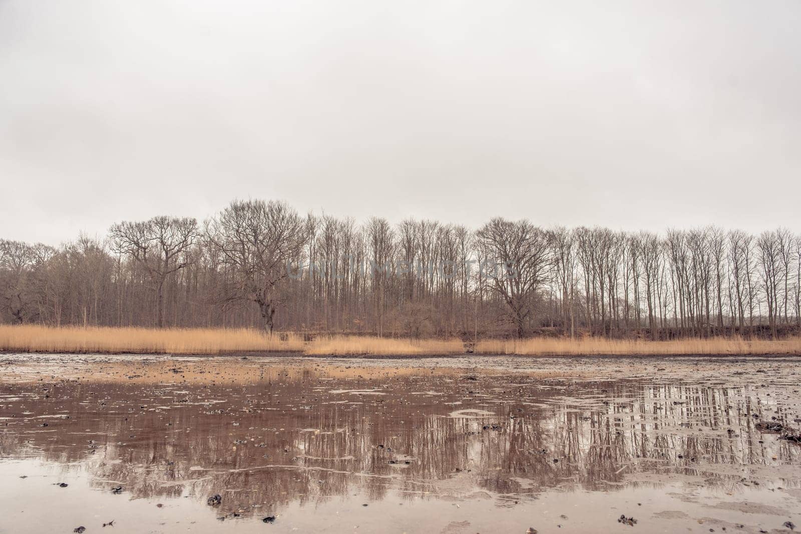 Idyllic lake scenery in the wintertime