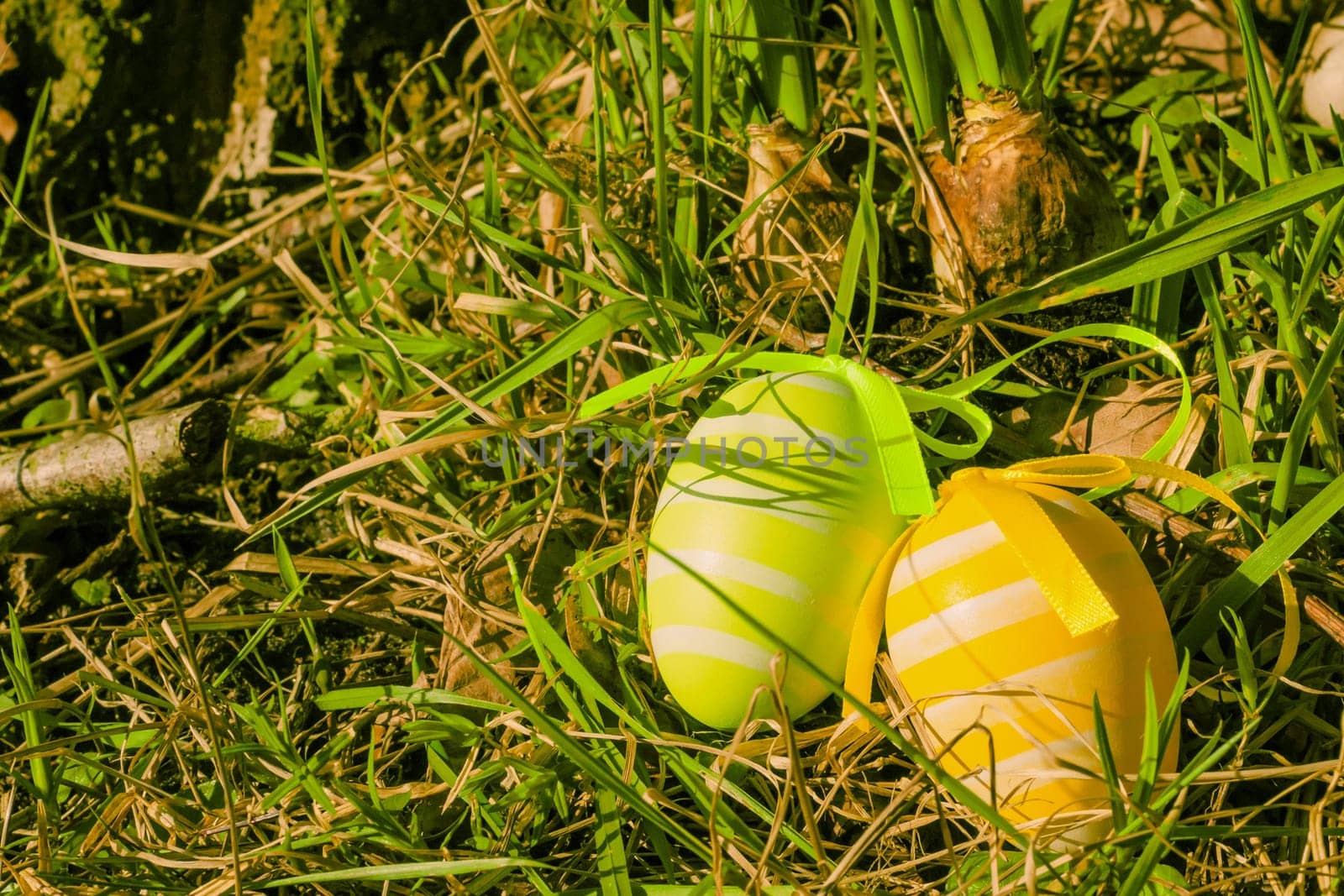 Colorful easter eggs on green grass