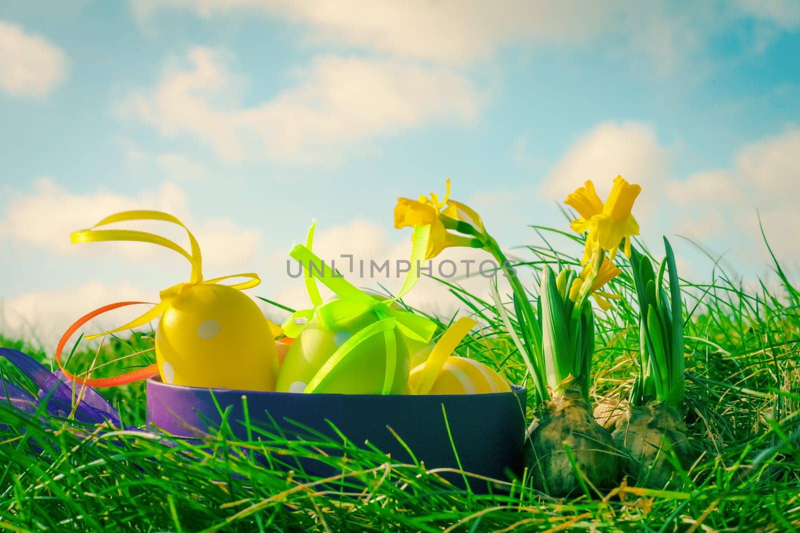 Easter egg basket in grass with daffodils