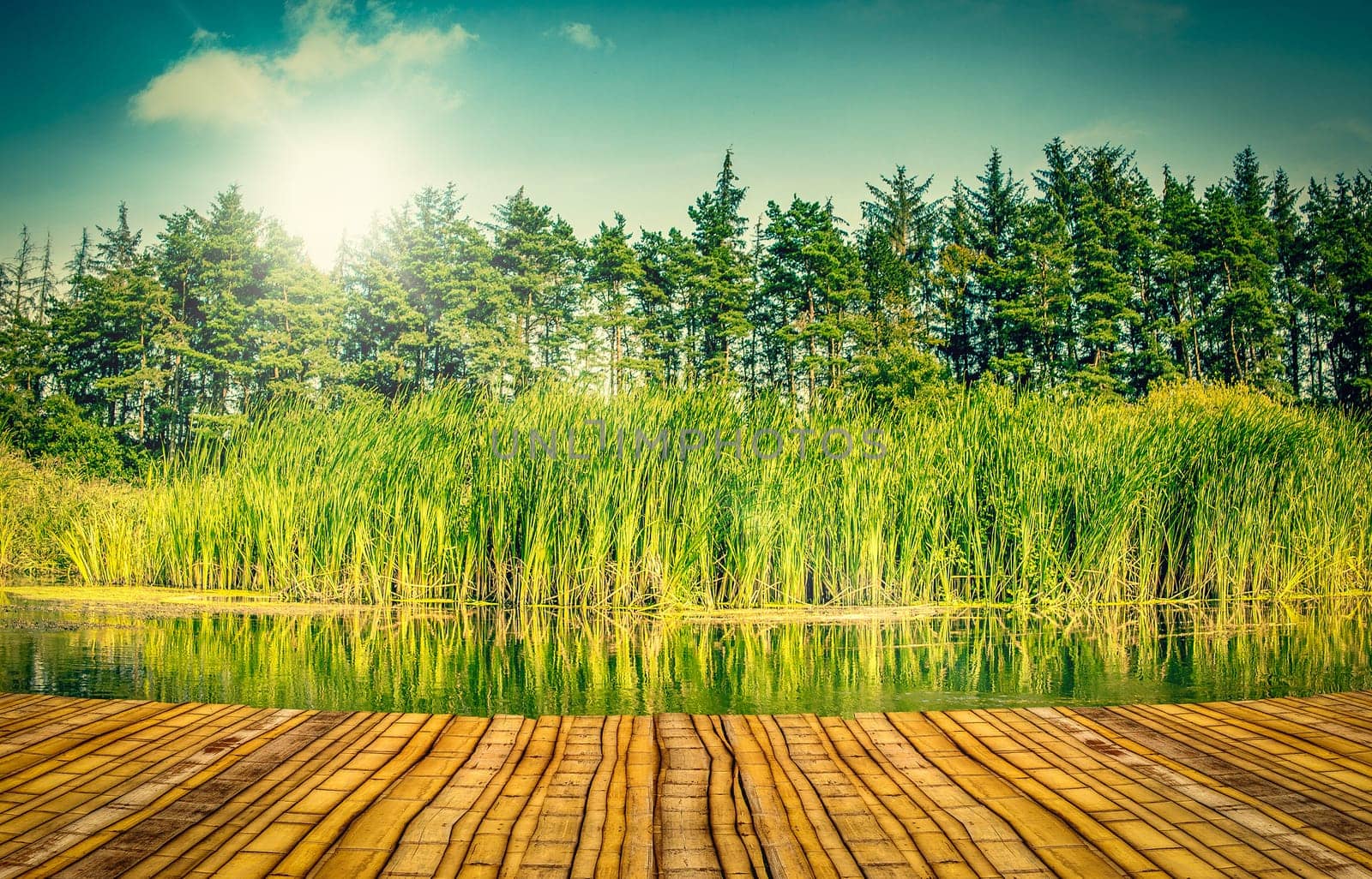 Colourful river landscape with a bamboo pier