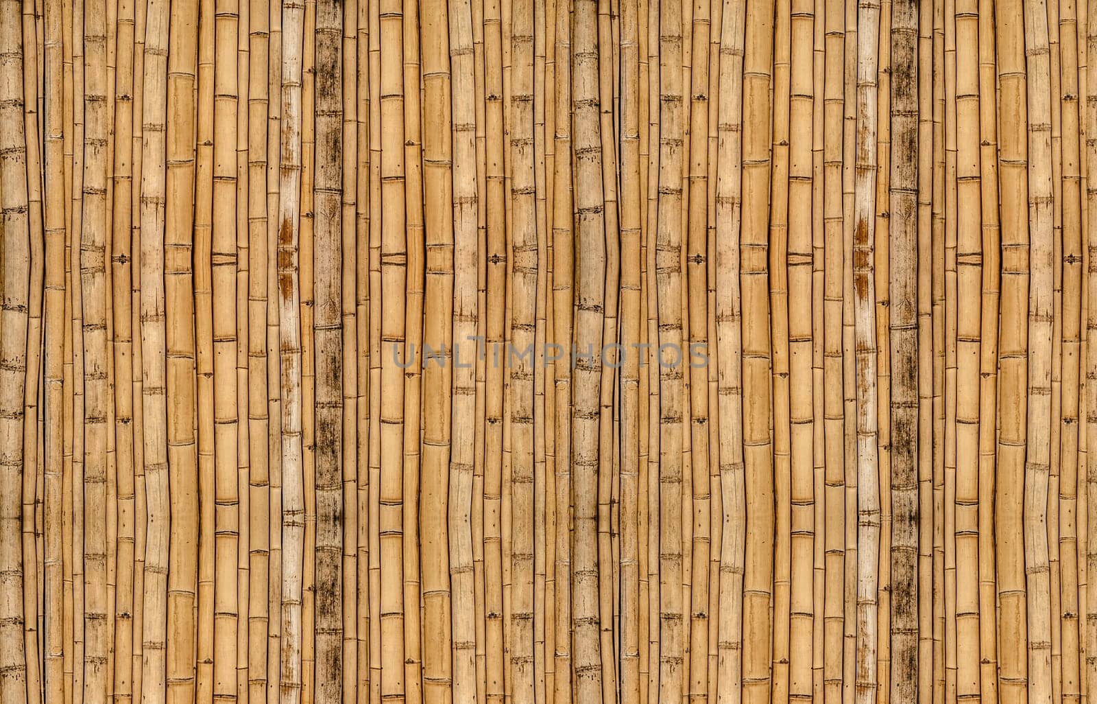 Bamboo fence background with vertical alignment