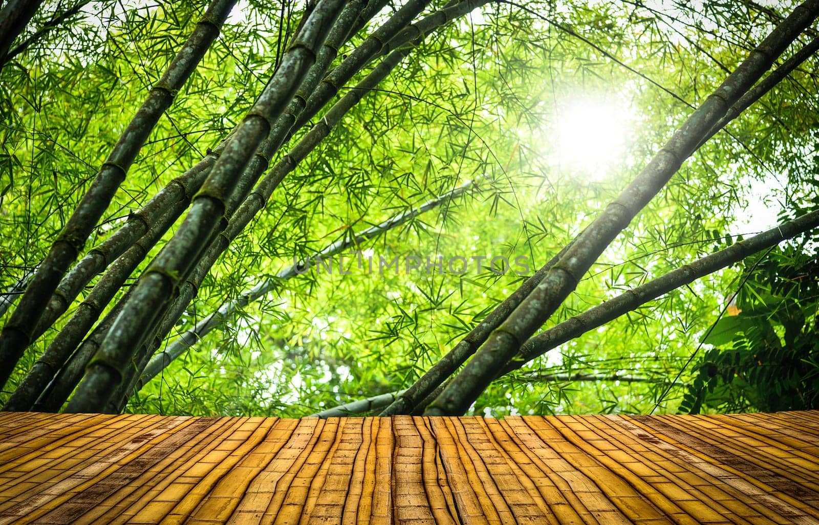 Bamboo stage in a green tropical rainforest