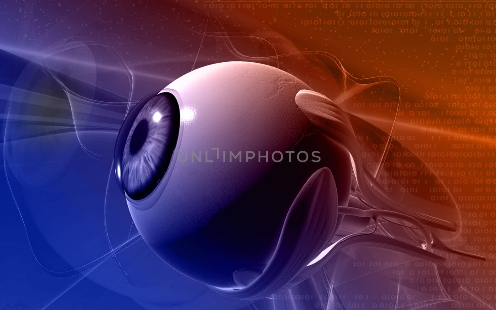 Digital illustration of eye in colour background
