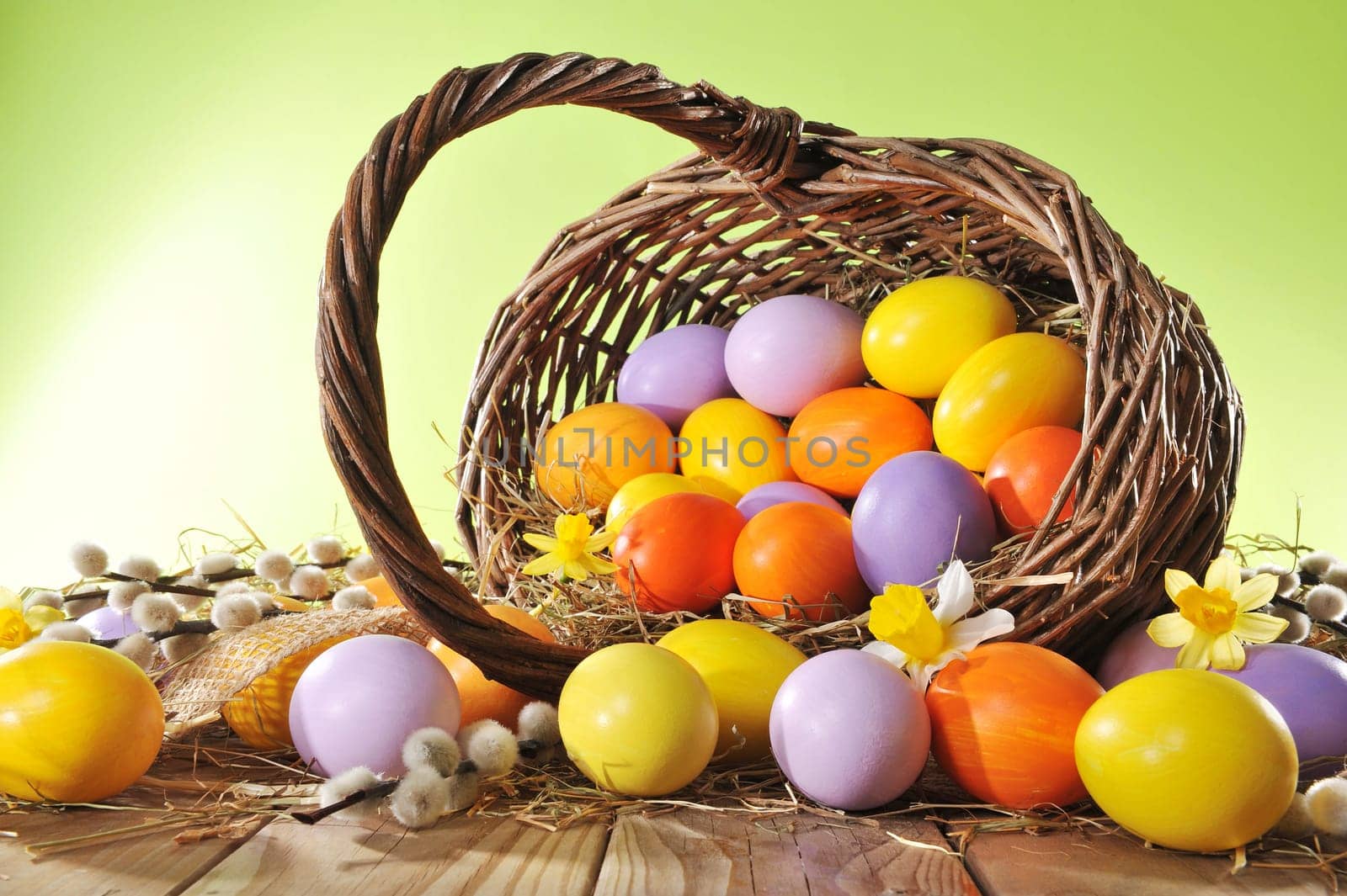 Easter basket with Easter eggs,daffodils and palm kittens on old weathered wooden boards