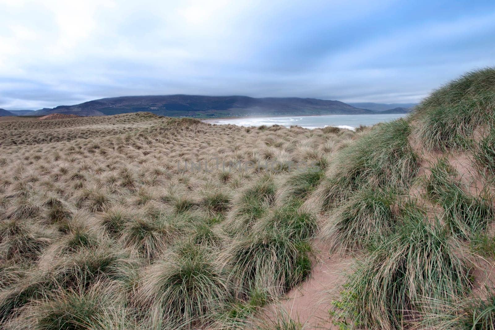 view of dunes at the maharees a beautiful beach in county Kerry Ireland