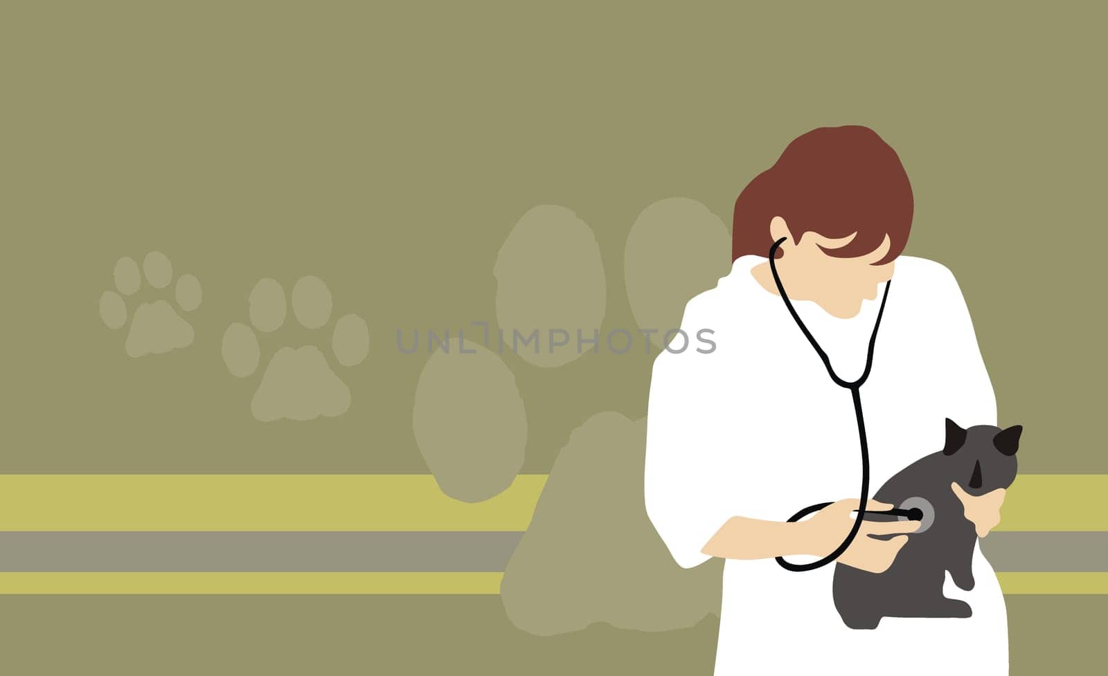 Female vet examining a cat