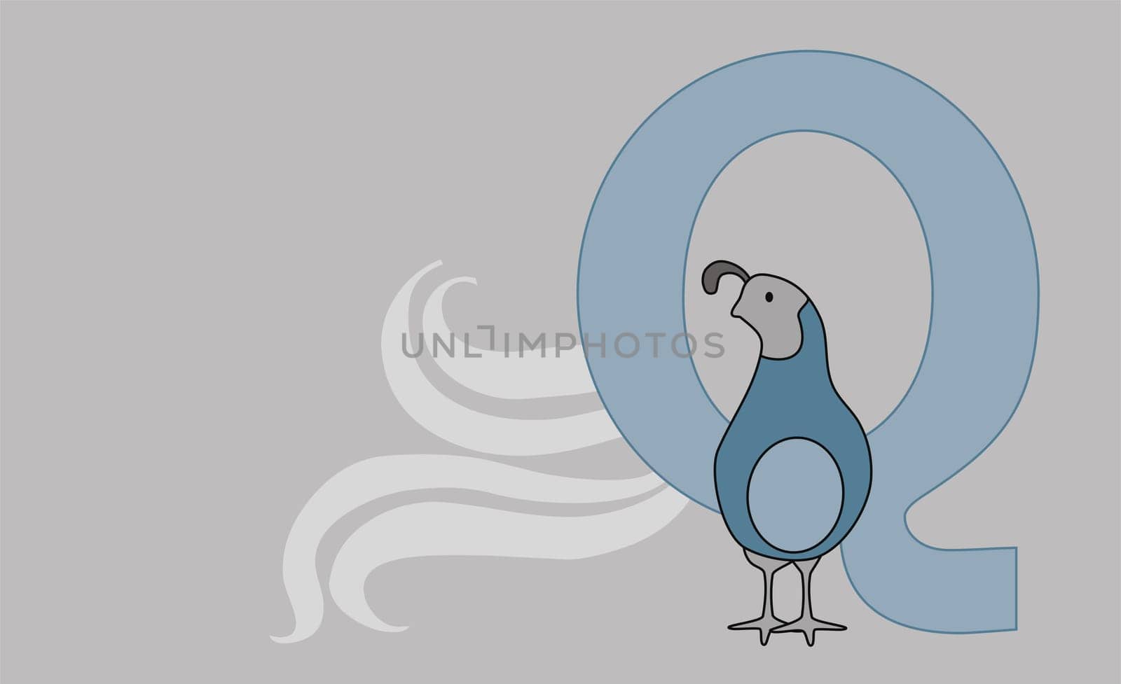 The letter Q with a Quail